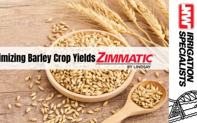 Zimmatic Pivots: Your Best Bet for a Bountiful Barley Harvest