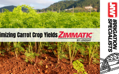 Zimmatic Pivots: The Perfect Choice for Growing Carrots