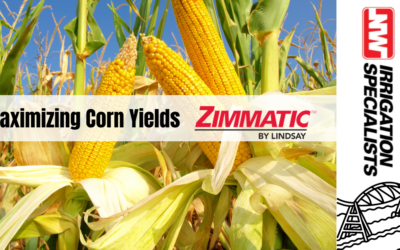 Maximizing Corn Yields with Zimmatic Pivots