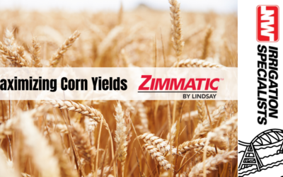 Optimizing Wheat Yields with Zimmatic Pivots