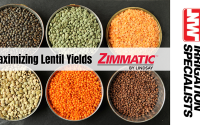 Maximizing Lentil Yields with Zimmatic Pivots