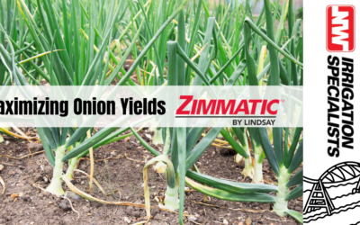 Maximizing Onion Yields with Zimmatic Pivots