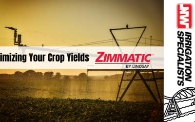 Zimmatic Pivots: The Perfect Solution for Healthy, High-Yielding Peas